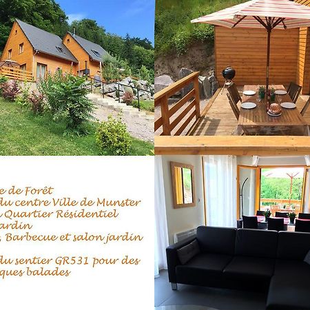 Le Chalet La Cigogne Et Le Chamois Munster  Esterno foto